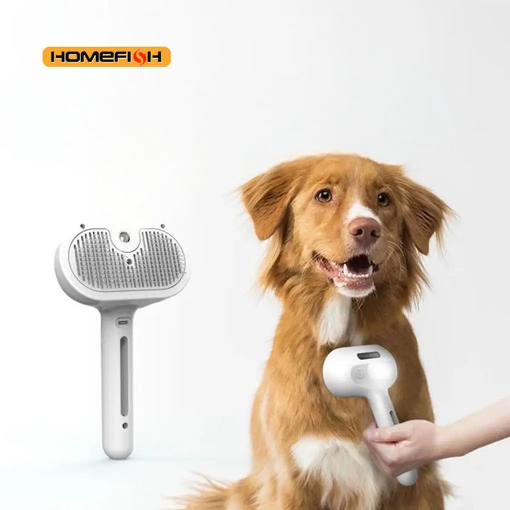 Grooming & Bath